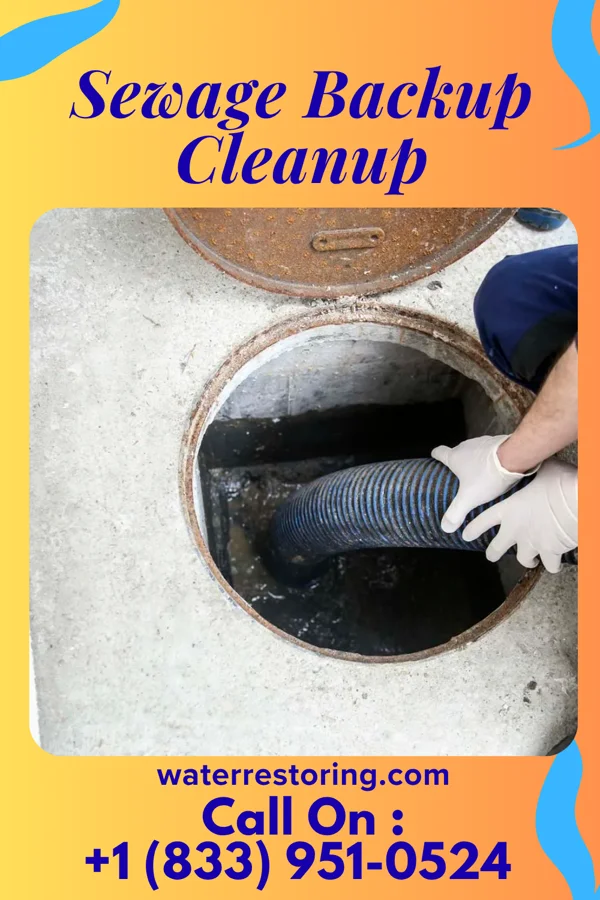 Sewage Backup Cleanup in Weatherly, PA