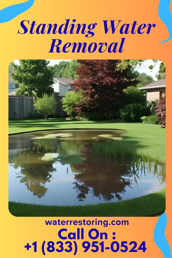 Standing Water Removal in Weatherly, PA